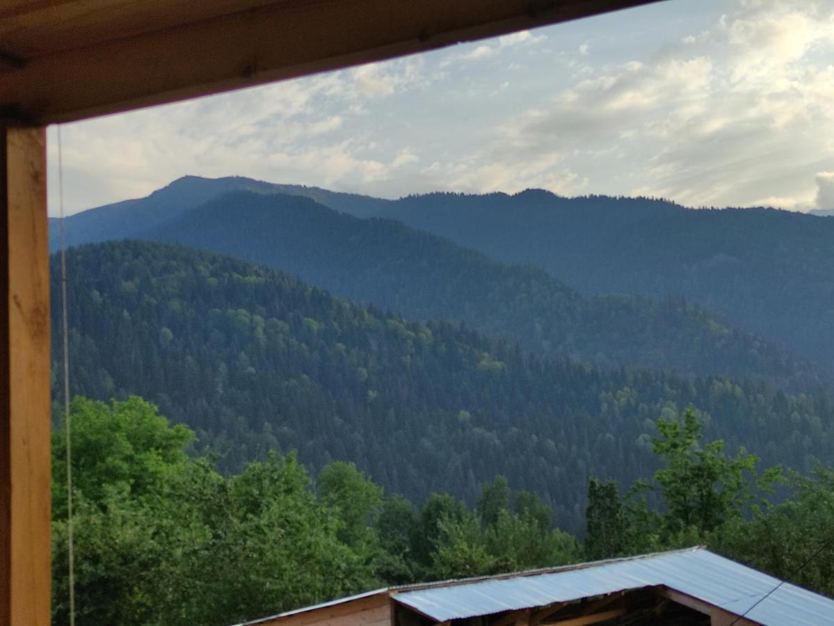 Ecohouse Svaneti Mestia Zewnętrze zdjęcie