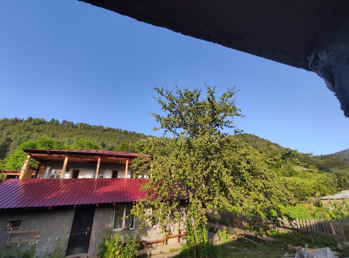 Ecohouse Svaneti Mestia Zewnętrze zdjęcie