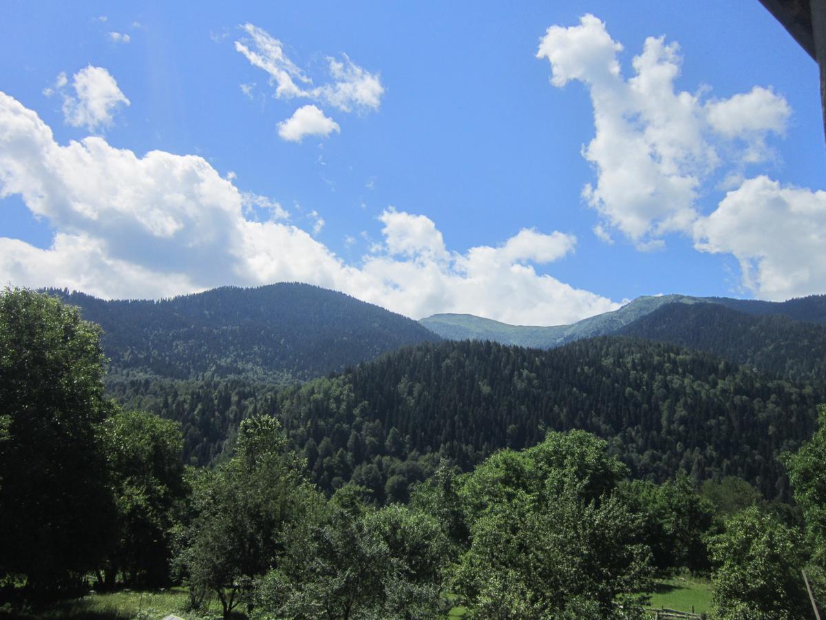 Ecohouse Svaneti Mestia Zewnętrze zdjęcie