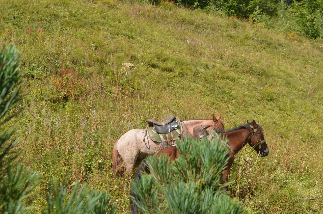 Ecohouse Svaneti Mestia Zewnętrze zdjęcie