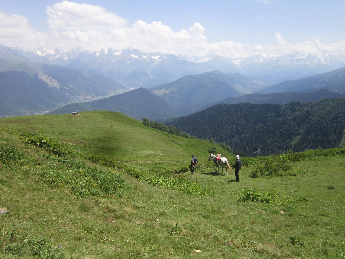 Ecohouse Svaneti Mestia Zewnętrze zdjęcie
