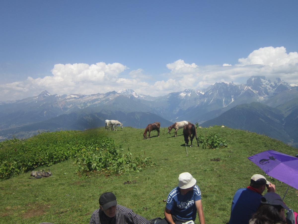 Ecohouse Svaneti Mestia Zewnętrze zdjęcie