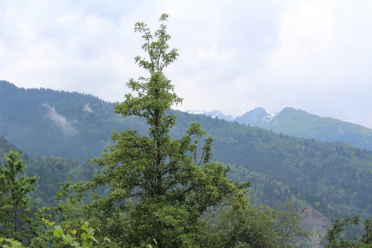 Ecohouse Svaneti Mestia Zewnętrze zdjęcie