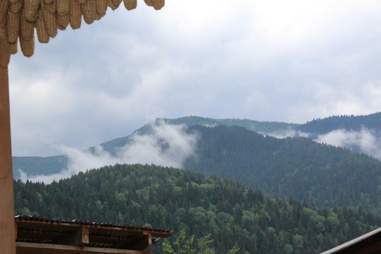 Ecohouse Svaneti Mestia Zewnętrze zdjęcie